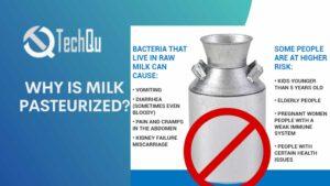 Why is Milk Pasteurized?