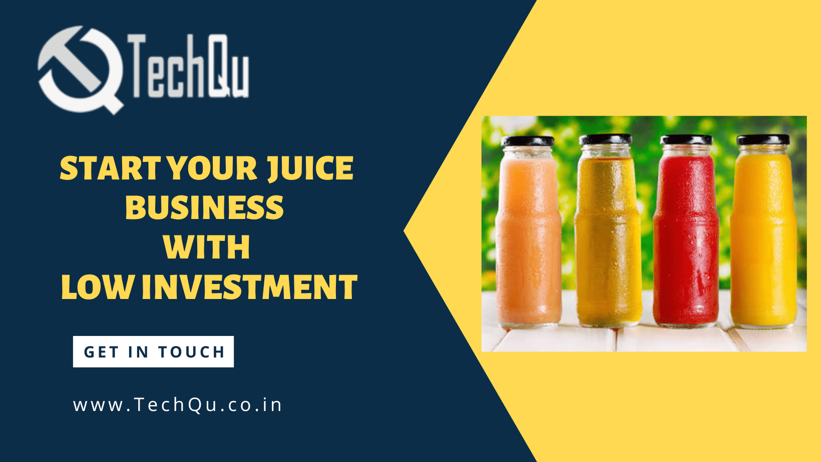 Fruit juice outlet business